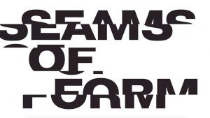 Seam thesis 04 picture